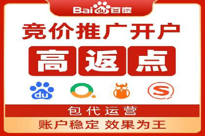 SEM代理助力企业：成功案例分析